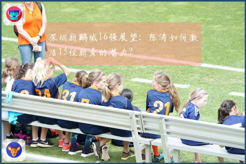 深圳新鹏城16强展望：陈涛如何激活15位新秀的潜力？
